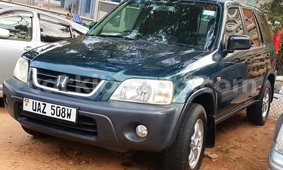 Buy Used Honda CR–V Green Car in Kampala in Uganda