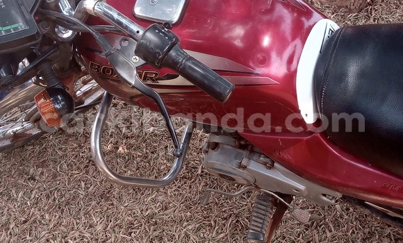 Buy Used Bajaj CT Red Bike in Kampala in Uganda Buy Used Bajaj CT Red Bike in Kampala in Uganda
