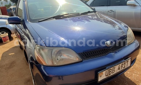 Buy Used Toyota Platz Blue Car in Kampala in Uganda