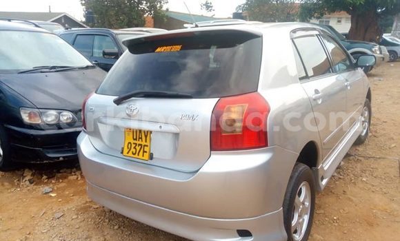 Buy Used Toyota Allex Silver Car in Kampala in Uganda Buy Used Toyota Allex Silver Car in Kampala in Uganda