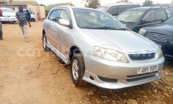 Buy Used Toyota Allex Silver Car in Kampala in Uganda Buy Used Toyota Allex Silver Car in Kampala in Uganda