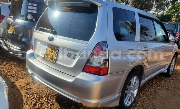 Acheter Occasion Voiture Subaru Forester Gris à Kampala, Ouganda Acheter Occasion Voiture Subaru Forester Gris à Kampala, Ouganda