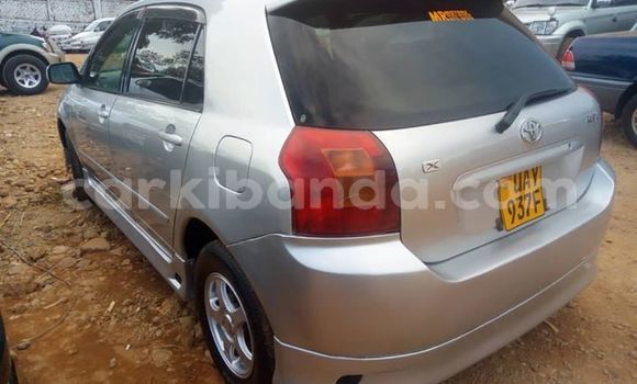 Buy Used Toyota Allex Silver Car in Kampala in Uganda Buy Used Toyota Allex Silver Car in Kampala in Uganda
