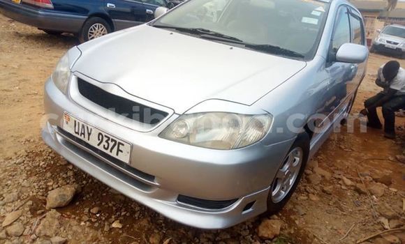 Buy Used Toyota Allex Silver Car in Kampala in Uganda Buy Used Toyota Allex Silver Car in Kampala in Uganda