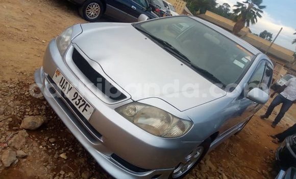 Buy Used Toyota Allex Silver Car in Kampala in Uganda Buy Used Toyota Allex Silver Car in Kampala in Uganda