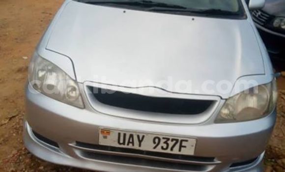 Buy Used Toyota Allex Silver Car in Kampala in Uganda Buy Used Toyota Allex Silver Car in Kampala in Uganda