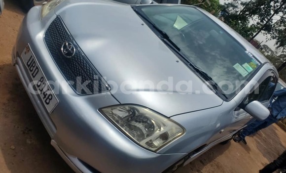 Nunua Ilio tumika Toyota Allex Fedha Gari ndani ya Kampala nchini Uganda