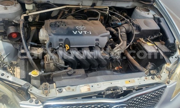 Acheter Occasion Voiture Toyota Allex Gris à Kampala, Ouganda Acheter Occasion Voiture Toyota Allex Gris à Kampala, Ouganda