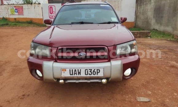 Acheter Occasion Voiture Subaru Forester Rouge à Kampala, Ouganda Acheter Occasion Voiture Subaru Forester Rouge à Kampala, Ouganda