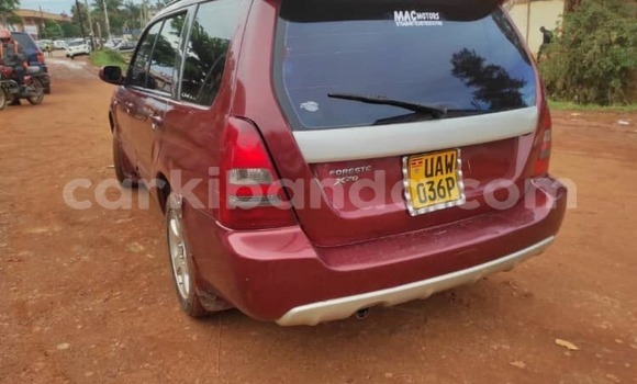 Acheter Occasion Voiture Subaru Forester Rouge à Kampala, Ouganda Acheter Occasion Voiture Subaru Forester Rouge à Kampala, Ouganda