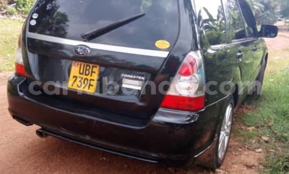 Acheter Occasion Voiture Subaru Forester Noir à Kampala, Ouganda Acheter Occasion Voiture Subaru Forester Noir à Kampala, Ouganda