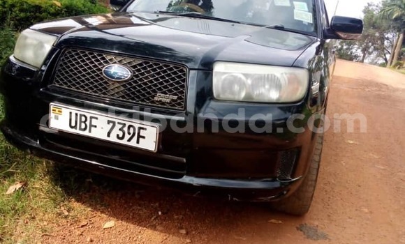 Acheter Occasion Voiture Subaru Forester Noir à Kampala, Ouganda Acheter Occasion Voiture Subaru Forester Noir à Kampala, Ouganda