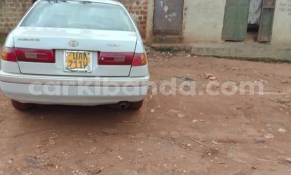 Acheter Occasion Voiture Toyota Premio Blanc à Kampala, Ouganda Acheter Occasion Voiture Toyota Premio Blanc à Kampala, Ouganda
