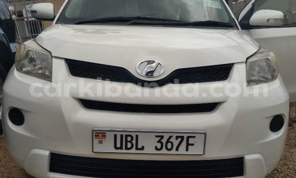 Buy Used Toyota IST White Car in Kampala in Uganda