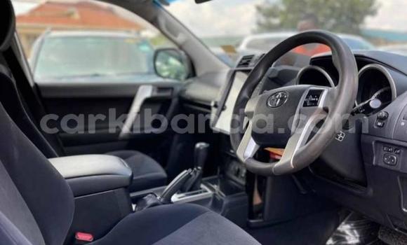 Acheter Occasion Voiture Toyota Land Cruiser Gris à Kampala, Ouganda Acheter Occasion Voiture Toyota Land Cruiser Gris à Kampala, Ouganda