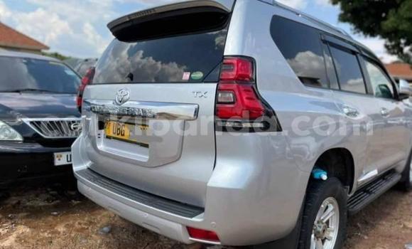Acheter Occasion Voiture Toyota Land Cruiser Gris à Kampala, Ouganda Acheter Occasion Voiture Toyota Land Cruiser Gris à Kampala, Ouganda