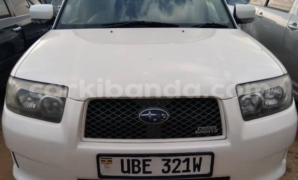Acheter Occasion Voiture Subaru Forester Blanc à Kampala, Ouganda Acheter Occasion Voiture Subaru Forester Blanc à Kampala, Ouganda
