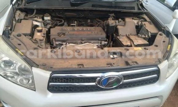 Acheter Occasion Voiture Toyota RAV4 Blanc à Kampala, Ouganda Acheter Occasion Voiture Toyota RAV4 Blanc à Kampala, Ouganda