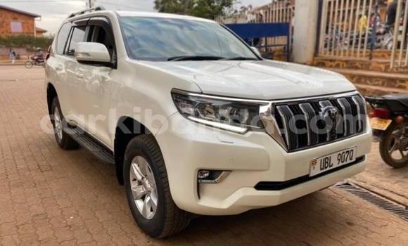 Acheter Occasion Voiture Toyota Land Cruiser Blanc à Kampala, Ouganda