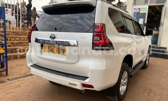 Acheter Occasion Voiture Toyota Land Cruiser Blanc à Kampala, Ouganda Acheter Occasion Voiture Toyota Land Cruiser Blanc à Kampala, Ouganda