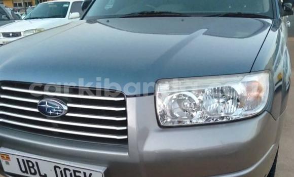 Buy Used Subaru Forester Blue Car in Kampala in Uganda