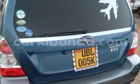 Acheter Occasion Voiture Subaru Forester Bleu à Kampala, Ouganda Acheter Occasion Voiture Subaru Forester Bleu à Kampala, Ouganda