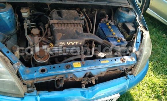 Acheter Occasion Voiture Toyota Vitz Bleu à Kampala, Ouganda Acheter Occasion Voiture Toyota Vitz Bleu à Kampala, Ouganda