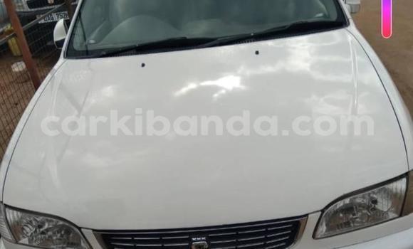 Buy Used Toyota Corolla White Car in Kampala in Uganda