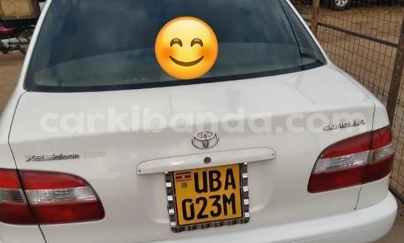 Acheter Occasion Voiture Toyota Corolla Blanc à Kampala, Ouganda Acheter Occasion Voiture Toyota Corolla Blanc à Kampala, Ouganda