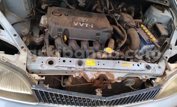 Acheter Occasion Voiture Toyota Platz Gris à Kampala, Ouganda Acheter Occasion Voiture Toyota Platz Gris à Kampala, Ouganda