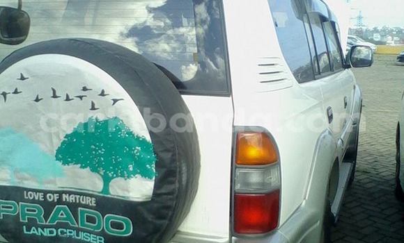 Buy Used Toyota Land Cruiser Prado White Car in Arua in Uganda Buy Used Toyota Land Cruiser Prado White Car in Arua in Uganda