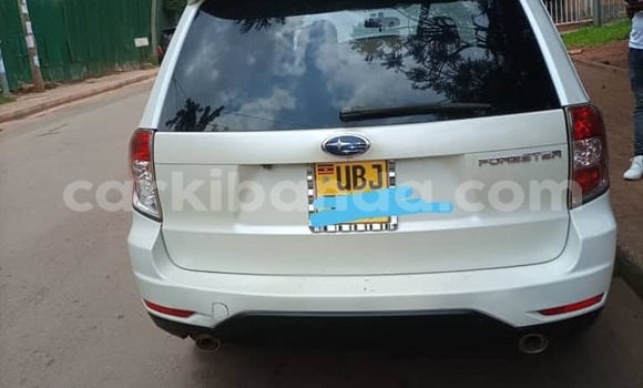 Gura Yakoze Subaru Forester White Imodoka i Kampala mu Uganda Gura Yakoze Subaru Forester White Imodoka i Kampala mu Uganda