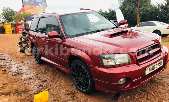 Acheter Occasion Voiture Subaru Forester Rouge à Kampala, Ouganda
