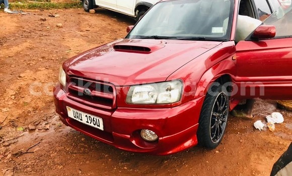 Gura Yakoze Subaru Forester Red Imodoka i Kampala mu Uganda Gura Yakoze Subaru Forester Red Imodoka i Kampala mu Uganda
