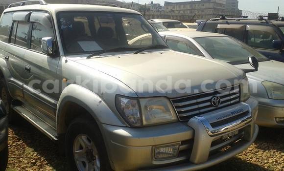 Buy Used Toyota Land Cruiser Prado Silver Car in Arua in Uganda Buy Used Toyota Land Cruiser Prado Silver Car in Arua in Uganda