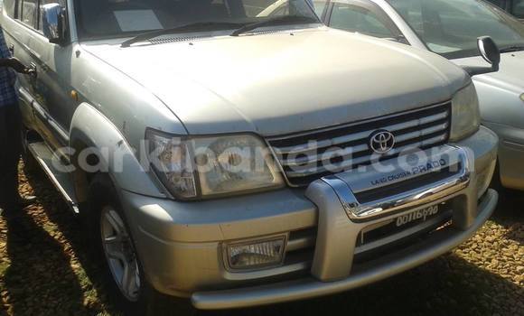Buy Used Toyota Land Cruiser Prado Silver Car in Arua in Uganda Buy Used Toyota Land Cruiser Prado Silver Car in Arua in Uganda