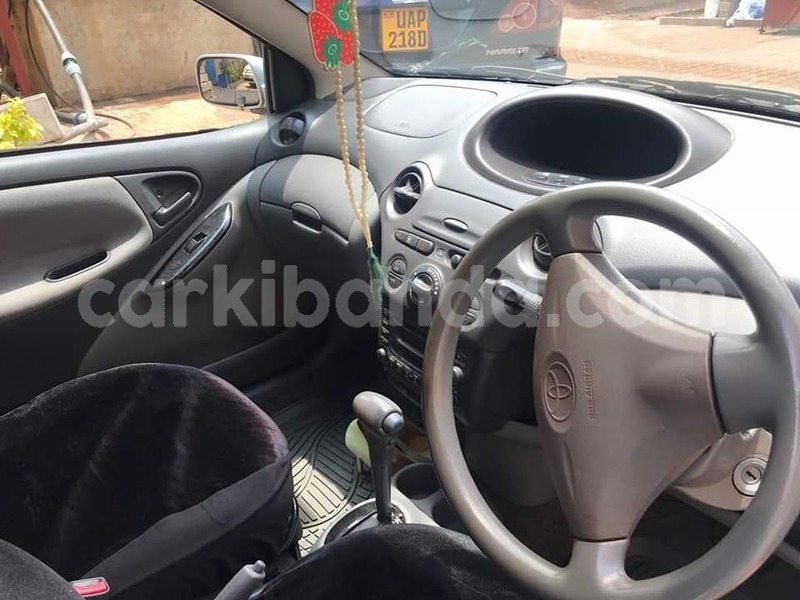 Big with watermark 43950230 2001029839958561 7628106382939521024 n