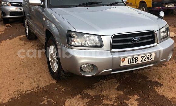 Gura Yakoze Subaru Forester Silver Imodoka i Kampala mu Uganda