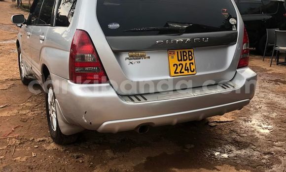 Buy Used Subaru Forester Silver Car in Kampala in Uganda Buy Used Subaru Forester Silver Car in Kampala in Uganda