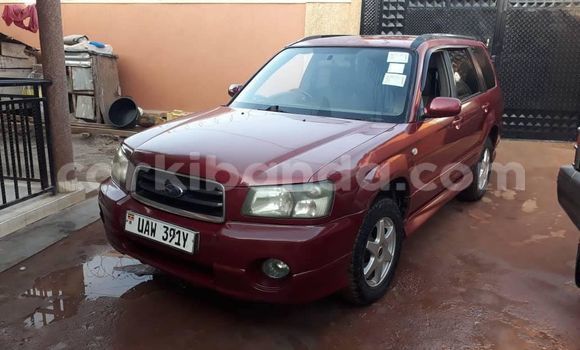 Buy Used Subaru Forester Red Car in Kampala in Uganda Buy Used Subaru Forester Red Car in Kampala in Uganda