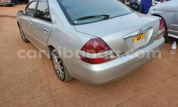 Nunua Ilio tumika Toyota Mark II Fedha Gari ndani ya Kampala nchini Uganda Nunua Ilio tumika Toyota Mark II Fedha Gari ndani ya Kampala nchini Uganda