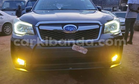 Nunua Ilio tumika Subaru Forester Nyeusi Gari ndani ya Kampala nchini Uganda Nunua Ilio tumika Subaru Forester Nyeusi Gari ndani ya Kampala nchini Uganda