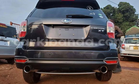Nunua Ilio tumika Subaru Forester Nyeusi Gari ndani ya Kampala nchini Uganda Nunua Ilio tumika Subaru Forester Nyeusi Gari ndani ya Kampala nchini Uganda