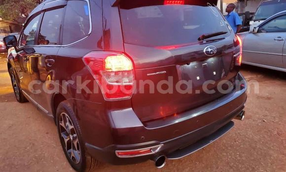 Nunua Ilio tumika Subaru Forester Nyeusi Gari ndani ya Kampala nchini Uganda Nunua Ilio tumika Subaru Forester Nyeusi Gari ndani ya Kampala nchini Uganda