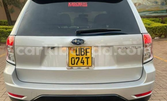 Nunua Ilio tumika Subaru Forester Fedha Gari ndani ya Kampala nchini Uganda Nunua Ilio tumika Subaru Forester Fedha Gari ndani ya Kampala nchini Uganda