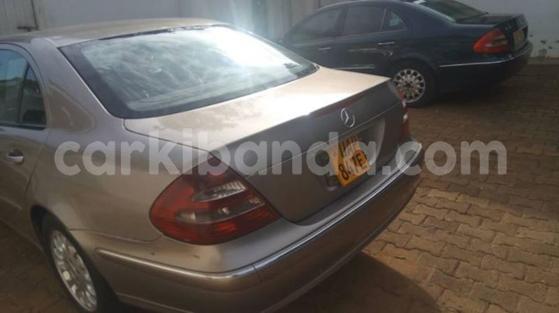 Big with watermark 43952242 157845575157962 4335428086951575552 o