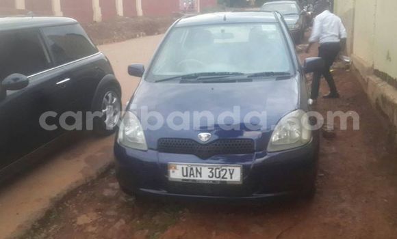 Acheter Occasion Voiture Toyota Vitz Bleu à Kampala, Ouganda Acheter Occasion Voiture Toyota Vitz Bleu à Kampala, Ouganda