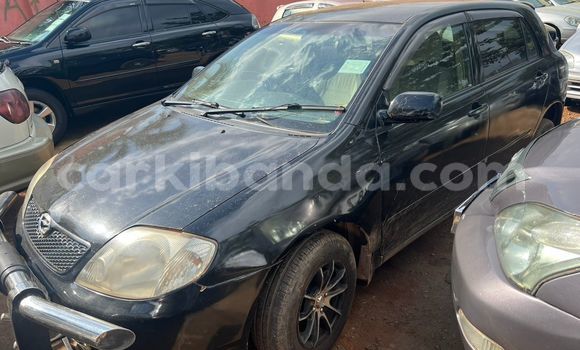 Gura Yakoze Toyota Allex Black Imodoka i Kampala mu Uganda Gura Yakoze Toyota Allex Black Imodoka i Kampala mu Uganda