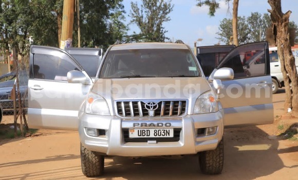 Gura Yakoze Toyota Land Cruiser Prado Silver Imodoka i Kampala mu Uganda Gura Yakoze Toyota Land Cruiser Prado Silver Imodoka i Kampala mu Uganda