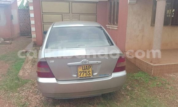 Gura Yakoze Toyota Corolla Silver Imodoka i Kampala mu Uganda Gura Yakoze Toyota Corolla Silver Imodoka i Kampala mu Uganda